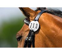 Competition Equipment - Round Starting Numbers - Bridle Disc