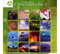 Compilation - Découverte /Vol.2