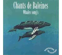 Compilation - Whale Songs