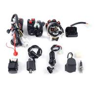 Complete ATV Quad 125-250CC Wire Harness, Electric Wiring Harness, Coil Loom CDI Ignition System, Wire Harness Kit for Almost All Chinese 4-Stroke Automatics
