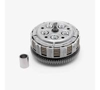 Complete Clutch compatible with Direct Bikes 125cc Phantom Motorcycle DB125-K, compatible with Lexmoto LS-N 125 SK125-K