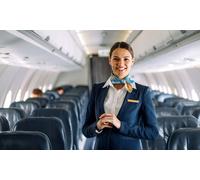 Complete Course for Flight Attendants