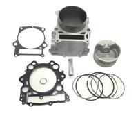 Complete Cylinder Rebuild Kit 102mm Compatible With Hisun 700cc 700 HS700 ATV Quad