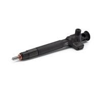 Complete Diesel Common Rail Injector DELPHI For Citroen Jumper Truck