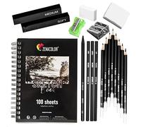 Complete Drawing Kit - Beginner or Professional - 19 Accessories: 8 Pencils, 3 Charcoal Pencils, 1 Graphite, 3 Charcoal Sticks, Drawing Book 100 Pages - Ideal for Adults - Gift Artists All Levels