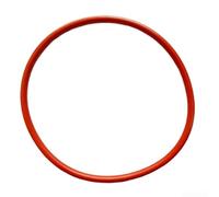 Complete Fuel Pump Repair Kit for Mercedes Hybrid Models(D)