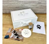 Complete Puppy/Kitten Keepsake Kit - All My Firsts Memory Box, Clay, Glass Fur Bottle, Ink Pad Capture Paw Prints & Fur | Precious Moments | W22cm x L17cm x H8cm