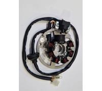 Complete Stator Aprilia SR 50CC Liquid Cooled Netscaper Stealth 1994 1995 1996