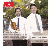 Complete Works for Violin & Piano 2 By Schubert ,Tomas Cotik ,Tao Lin (2015-05-12)