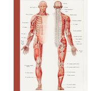 Composition Notebook -An Antique Illustration of the Human Nervous System by Galtier-Boissière and Émile - Vintage Human Anatomy Medical Illustrations: College Ruled