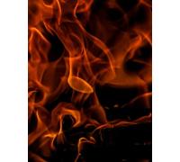 Composition Notebook: Elegantly Designed Cover, Stylish Back to School Notebook for Students, Teachers & Journaling, 100 Pages of College Ruled Lined Paper 9 ¾ x 7 ½