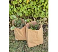 COMPOSTABLE PAPER GARDEN WASTE SACKS. 15 x 25L Small WET STRENGTH bags - ideal for deadheading and collecting weeds / 5 x 10L bags - collect organic waste from the kitchen. COMPOSTING RECIPE INCLUDED