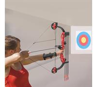Compound Bow and Arrow Set for Teenagers, 16-29Lbs, For right-hand bow drawing Archery Bow Kit For Archery Target Practice With 12 Arrows And Target Paper And Arrow Rest And Arm Guard..., Red