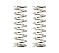 Compression Springs Assortment kits, 5 Pcs 304 Stainless Steel Compression Spring Silver 2.5x19mm x(20-100) mm(2.5mmx19mmx100mm)