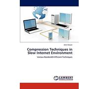 Compression Techniques in Slow Internet Environment: Various Bandwidth Efficient Techniques