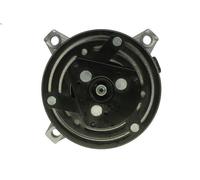 Compressor, air conditioning DELPHI CS20009-11B1 for PARK AVENUE 3.8 1996-2005