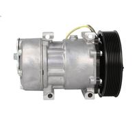Air Conditioning Compressor Fits RENAULT RENAULT TRUCKS MAHLE ACP1122000S