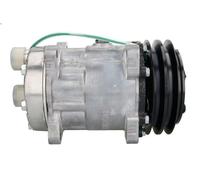 Compressor, air conditioning MAHLE ACP 989 000S for AGROPLUS 4.086 2000-2004