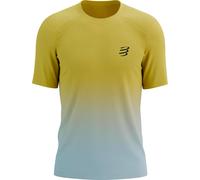 Compressport - Men's trail/running T-shirt - Performance Ss Tshirt M Ceylon Yellow/Grey Dawn for Men - Size M Yellow