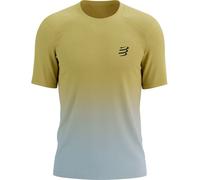Compressport - Men's trail/running T-shirt - Performance Ss Tshirt M Ceylon Yellow/Grey Dawn for Men - Size M Yellow