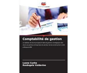 Comptabilité de gestion: Le tableau de bord prospectif dans la gestion stratégique des micro et petites entreprises du secteur de la construction civile à Mossoró/RN