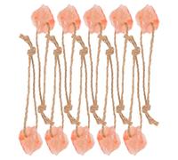 COMPUKAS 10pcs Natural Pink Salt Lick Blocks with Ropes for Horses Cattle Goats Deer Alpacas Weatherproof Mineral-rich Nutrition for Livestock and Pets