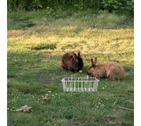 COMPUKAS 2pcs Wear-resistant Rabbit Feeder Rack for Cage Convenient Hay Feeder for Bunny Accessories Easy to Install and Clean Keeps Food Fresh and Organized