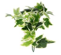 COMPUKAS Reptile Hanging Plant with Suction Cup for Animal Habitat Decoration, Green Plastic Simulated Leaves, Easy to Install and Low Maintenance, for Decorating Bird Cages and Terrarium