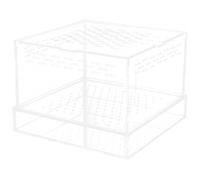 COMPUKAS Transparent Spider Enclosure for Reptiles and Insects Small Acrylic Critters Keeper Box for Jumping Spiders Crickets Lizards Frogs and Small Turtles with High Visibility and Secure