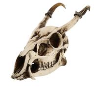 COMPUKAS Vintage Beige Resin Goat Skull Model Ornament, 3d Realistic Skull Sculpture for Viking Rustic Home Décor, Creative Household Artware for Desktop and Aquarium Display