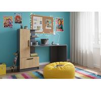 Computer Desk Shefa Line Arden Anthracite - Gold Craft Oak