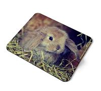 Computer Mouse Mat Pad - Cute Baby Bunny Rabbit Pet Animal Home Office PC Desk Accessory Flexible Fabric Top Large 5mm Laptop Desktop Printed Art Ergonomic #44752