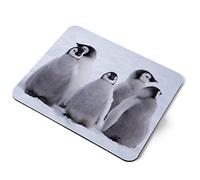 Computer Mouse Mat Pad - Five Emperor Penguin Chicks Antarctica Home Office PC Desk Accessory Flexible Fabric Top Large 5mm Laptop Desktop Printed Art Ergonomic #45027