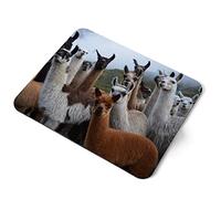 Computer Mouse Mat Pad - Herd of Llama Alpaca Home Office PC Desk Accessory Flexible Fabric Top Large 5mm Laptop Desktop Printed Art Ergonomic #12875