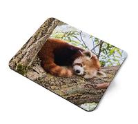Computer Mouse Mat Pad - Lesser Red Panda Home Office PC Desk Accessory Flexible Fabric Top Large 5mm Laptop Desktop Printed Art Ergonomic #14217