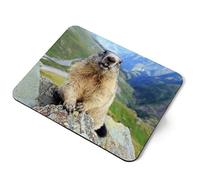 Computer Mouse Mat Pad - Marmot Wild Animal Mountain Home Office PC Desk Accessory Flexible Fabric Top Large 5mm Laptop Desktop Printed Art Ergonomic #12604