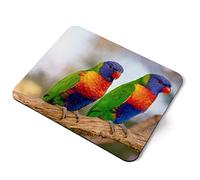 Computer Mouse Mat Pad - Rainbow Lorikeet Tropical Parrot Bird Home Office PC Desk Accessory Flexible Fabric Top Large 5mm Laptop Desktop Printed Art Ergonomic #16202
