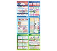 Computers in Society Posters - Set of 6 | ICT Posters | Laminated Gloss Paper measuring 850mm x 594mm (A1) | Computing Charts for the Classroom | Education Charts by Daydream Education