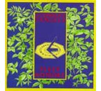 Comsat Angels - Sleep No More