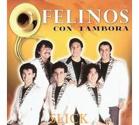 Con Tambora