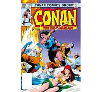 Conan The Barbarian: The Original Comics Omnibus Vol.6