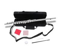 Conboxus C Flute for Beginners - 16 Key Closed Hole C Flute with Hard Case & Cleaning Kit, Complete Starter Instrument for starter & Young Musicians(sliver)