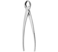 Concave Stainless Steel Cutter, Specialized Bonsai Tools for Branch Burl Removal, Sharp Bonsai Pruning Cutter for Gardening Plant Shaping, Sanded Finish, 3CR13 Heat Treated Steel, 8.5 in by 2 in