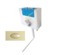 Concealed Bottom Entry Toilet Cistern Inc Brushed Brass Flush Plate | Brushed Brass Dual Flush Plate | Bottom Entry Water Feed | Flush Plate Includes Access Panel |