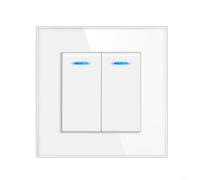 Concealed Rocker Wall Switch, Dual Control Switch with Tempered Glass Panel (White)