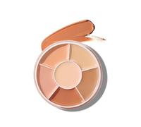 Concealer, Conceals Circles and Imperfections. Six-Color Concealer, A Tool for a Finish (01)