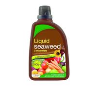 Concentrated Liquid Seaweed 1L - Organic Plant Growth Stimulant, Makes Up to 300L, Natural Fertiliser for Flowers, Vegetables, Lawns & Shrubs