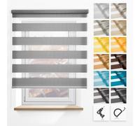 Concept Blinds Day and Night Roller Blind