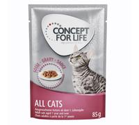 Concept for Life All Cats - in Gravy - 24 x 85g