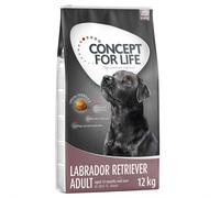 Concept for Life Economy Packs - Labrador Retriever Adult (2 x 12kg)
